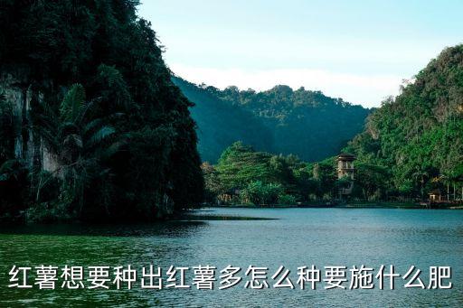 紅薯想要種出紅薯多怎么種要施什么肥