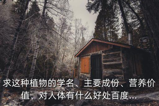 求這種植物的學名、主要成份、營養價值、對人體有什么好處百度...