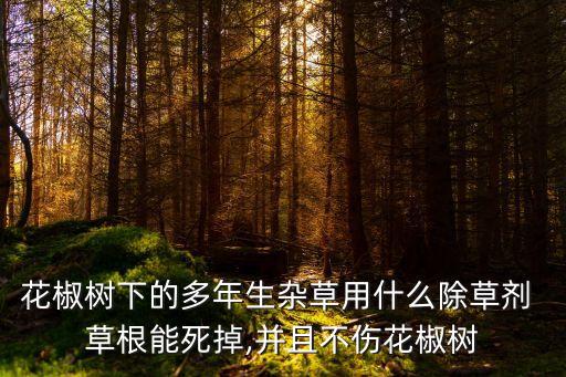 花椒樹下的多年生雜草用什么除草劑 草根能死掉,并且不傷花椒樹