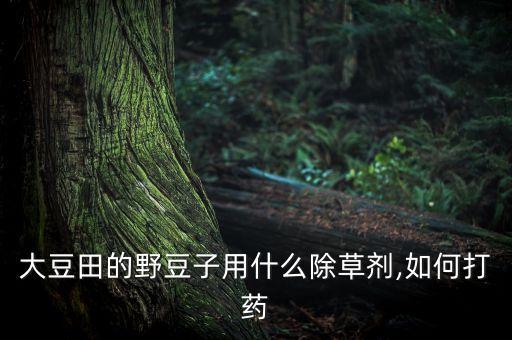 夏天黃豆打什么農藥好打,黃豆用什么農藥