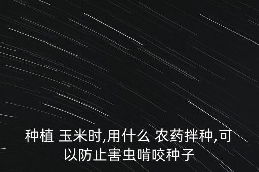 種植 玉米時(shí),用什么 農(nóng)藥拌種,可以防止害蟲啃咬種子