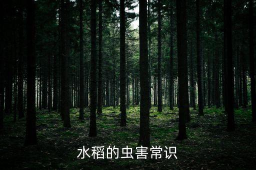 稻樅卷葉蟲用什么農(nóng)藥殺滅