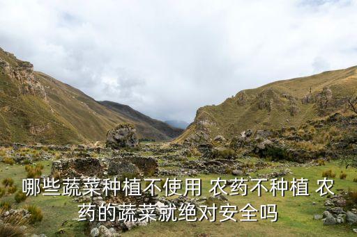 哪些蔬菜種植不使用 農藥不種植 農藥的蔬菜就絕對安全嗎
