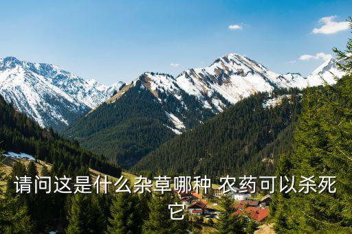 雙草醚農藥有什么作用