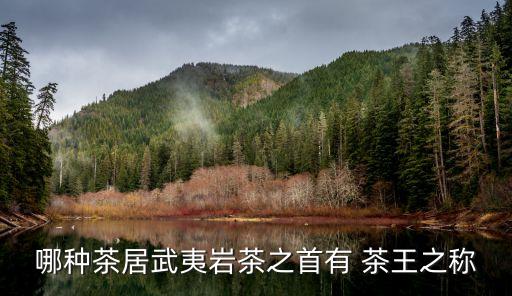 農藥茶王有什么功效,什么茶最容易農藥超標