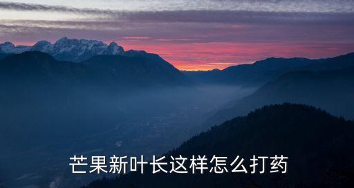  芒果新葉長這樣怎么打藥