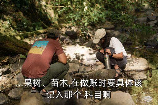 ...果樹、苗木,在做賬時要具體該記入那個 科目啊