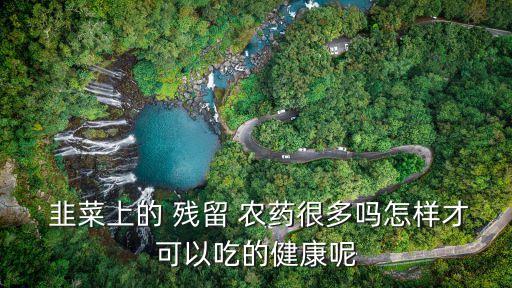 韭菜上的 殘留 農(nóng)藥很多嗎怎樣才可以吃的健康呢