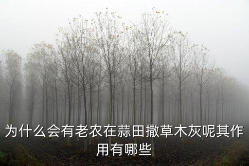 為什么會有老農在蒜田撒草木灰呢其作用有哪些