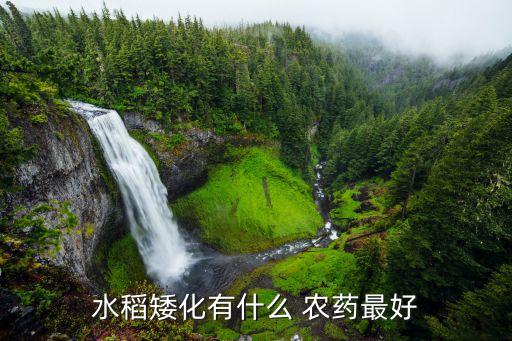 水稻矮化有什么 農(nóng)藥最好