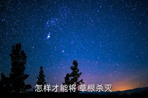 什么農藥能大量殺死蒼蠅,有什么農藥可以殺死草根