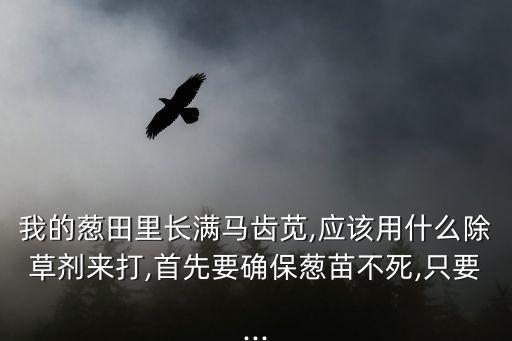 我的蔥田里長滿馬齒莧,應該用什么除草劑來打,首先要確保蔥苗不死,只要...