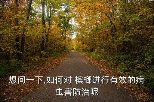 用什么農(nóng)藥打檳榔萑高產(chǎn)