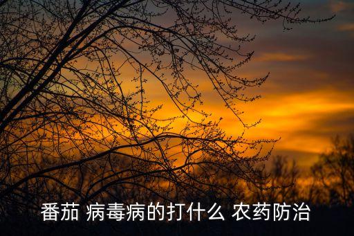 番茄 病毒病的打什么 農藥防治