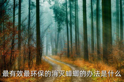 蜚蠊屬于什么目,什么農藥對蜚蠊目