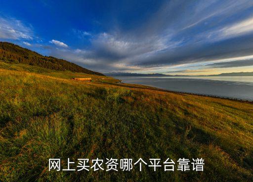 網上買農資哪個平臺靠譜