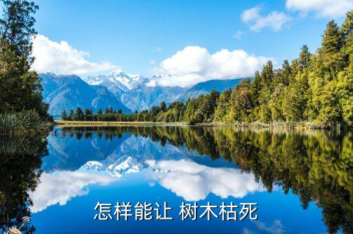 怎樣能讓 樹木枯死