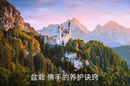 佛手病與用什么農藥好,佛手樹用什么農藥