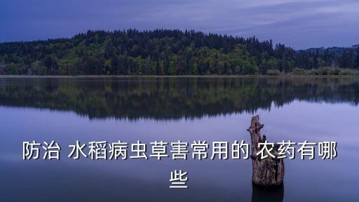 防治 水稻病蟲草害常用的 農藥有哪些