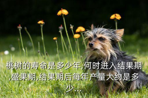 桃樹的壽命是多少年,何時進入結(jié)果期,盛果期,結(jié)果期后每年產(chǎn)量大約是多少...