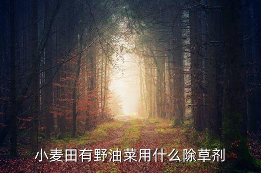 小麥田有野油菜用什么除草劑