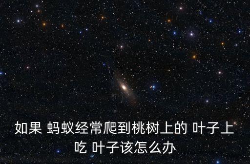 螞蟻吃葉子用什么農(nóng)藥,螞蟻用什么農(nóng)藥可以除掉它