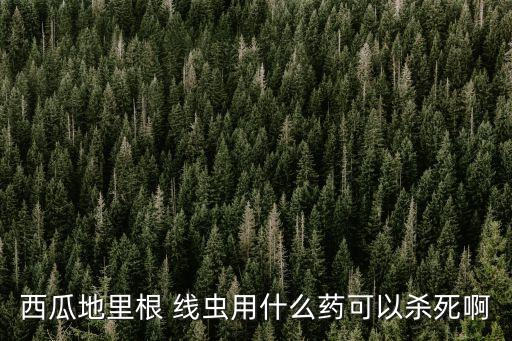 根線蟲用什么治更徹底,治根線蟲用什么農藥好