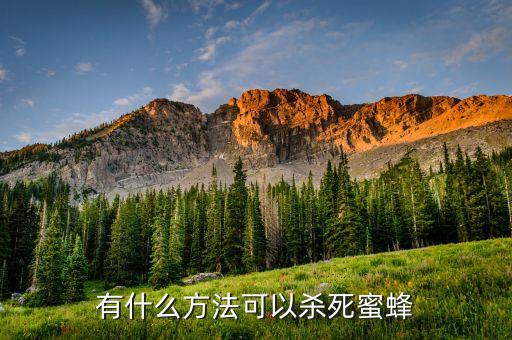 打蜂子用什么農藥,打農藥一般什么時間打比較好