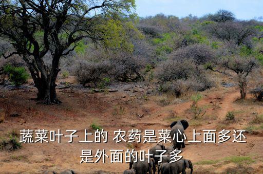 什么蔬菜農藥最多,基本不打農藥的7種蔬菜