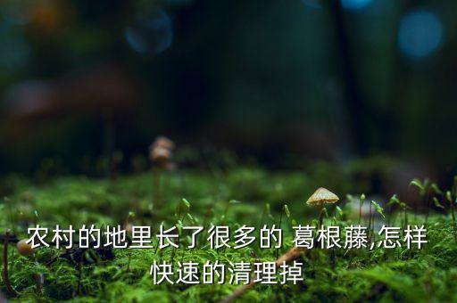 農村的地里長了很多的 葛根藤,怎樣快速的清理掉
