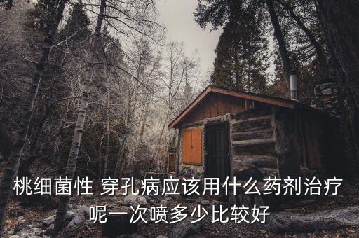 桃細菌性 穿孔病應(yīng)該用什么藥劑治療呢一次噴多少比較好