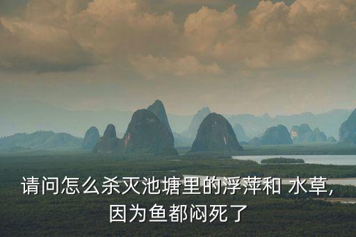 請問怎么殺滅池塘里的浮萍和 水草,因為魚都悶死了