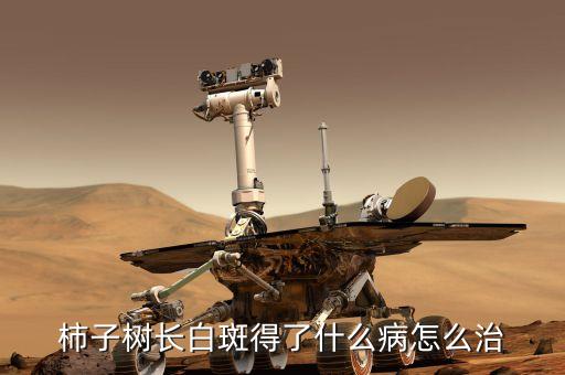 柿子樹長白斑得了什么病怎么治