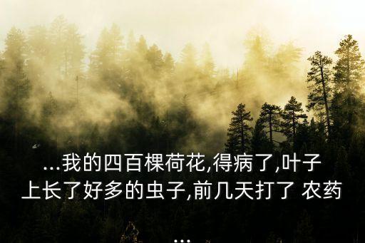 ...我的四百棵荷花,得病了,葉子上長了好多的蟲子,前幾天打了 農藥...