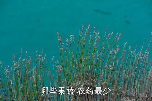 哪些果蔬 農藥最少