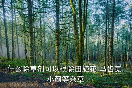 什么除草劑可以根除田旋花.馬齒莧.小薊等雜草