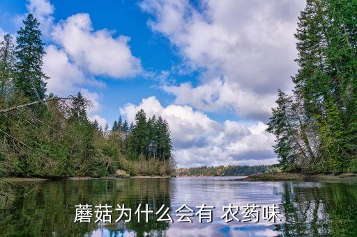 蘑菇為什么會有 農(nóng)藥味