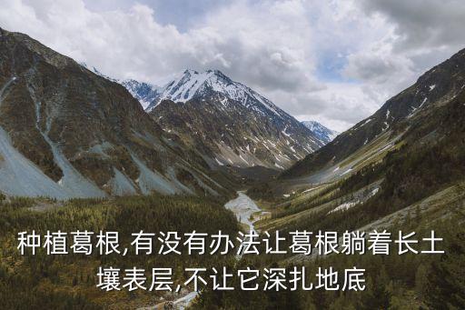 種植葛根,有沒有辦法讓葛根躺著長土壤表層,不讓它深扎地底