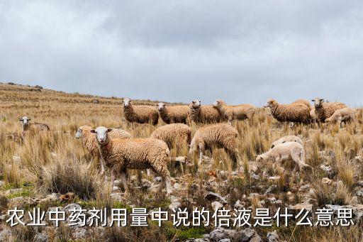 農(nóng)藥產(chǎn)品標(biāo)準(zhǔn)號(hào)什么意思,100倍農(nóng)藥什么意思