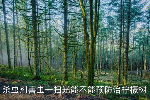 鬼畫符蟲害用什么農藥,斑潛蠅幼蟲最好的特效藥