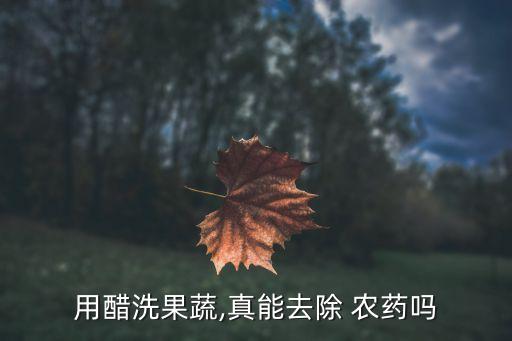 白醋加農(nóng)藥有什么好處,加白醋洗臉有什么好處