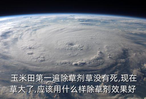 玉米田第一遍除草劑草沒有死,現(xiàn)在草大了,應(yīng)該用什么樣除草劑效果好