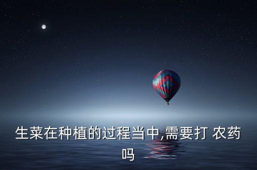 生菜在種植的過程當中,需要打 農藥嗎