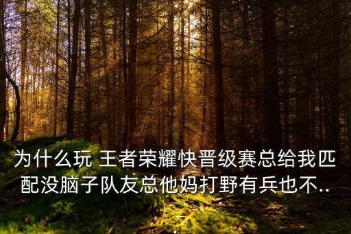 王者農藥為什么這么弱智,為什么叫王者農藥