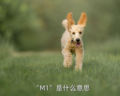 “M1”是什么意思