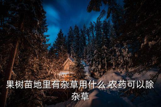 種苗木用什么農藥,2020年種什么苗木