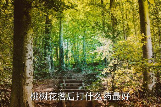 桃樹花落后打什么藥最好