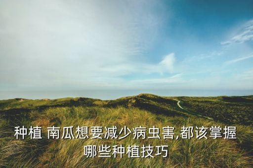 種植 南瓜想要減少病蟲害,都該掌握哪些種植技巧