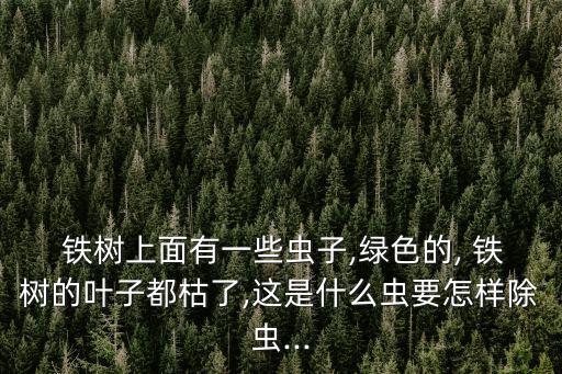 鐵樹上面有一些蟲子,綠色的, 鐵樹的葉子都枯了,這是什么蟲要怎樣除蟲...