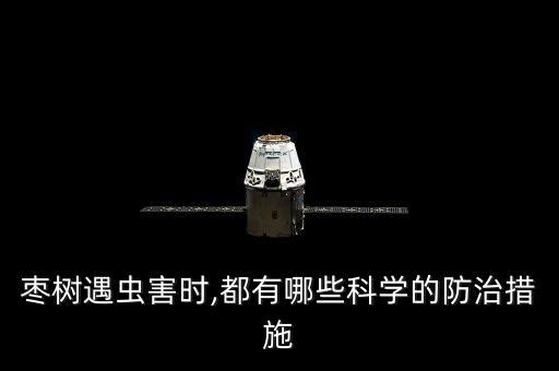 棗樹遇蟲害時,都有哪些科學的防治措施